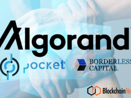 algorand, pocket, borderless capital, blockchain