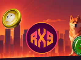 Pepe Coin (PEPE), Dogs Token (DOGS), or Rexas Finance (RXS): Which of the 3 Will Make You Rich by 2025?