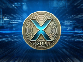 XRP Smart Money Bets Big on this Cardano Killer Aiming for a 1,600% Rally by Q4 2024