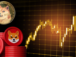 This Under $1 Altcoin Steals Shiba Inu and Dogecoin’s Spot as the Best Crypto to Buy in October, Here’s Why?