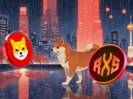 Forget Shiba Inu, Putting $500 in This SHIB Rival Right Now Is a Smarter Move