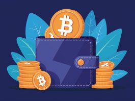 Types of Crypto Wallets and Their Differences